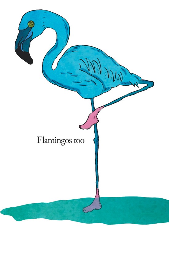 Flamingos too